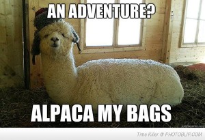 alpaca-my-bags-quickly